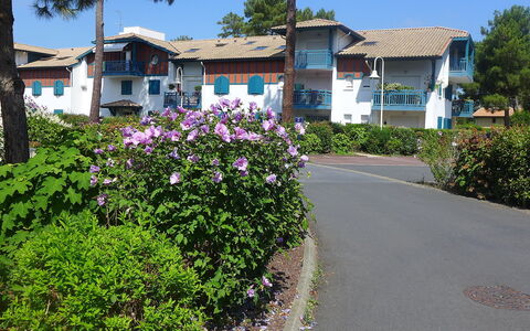 Capbreton 450: Plante, Blomst, Himmel, Bygning, Plantesamfund, Vindue, Træ, Botanik, Land Lot, Vegetationen