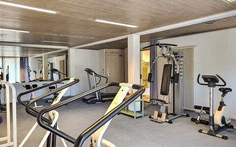 Bissone 50: Øvelse Maskine, Træningsudstyr, Bygning, Gym, Indretning, Etage, Gulvbelægning