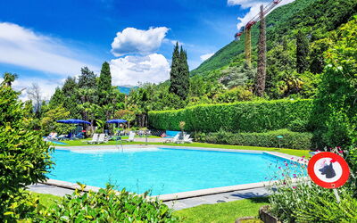 Lago di Lugano Relax Apt.604 50.14: Sky, Vand, Plante, Himmel, Natur, Naturlige Landskab, Azure, Svømmepøl, Træ, Fritid