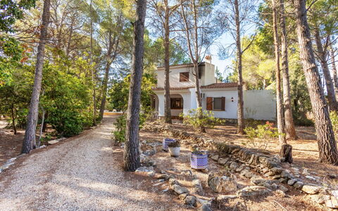 Villa Pinos: Træ, Afdeling, Bagagerum, Sommerhus, Woodland, Skygge, Jord, Sti, Lund