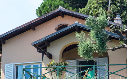 Villa Sara: Plante, Bygning, Ejendom, Himmel, Træ, Vindue, Arkitektur, Hus, Træ