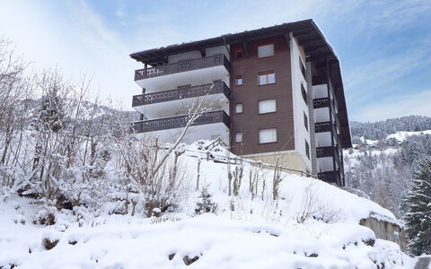 Champbois: Himmel, Bygning, Sky, Sne, Plante, Træ, Vindue, Hus, Boligområde, Urban Design