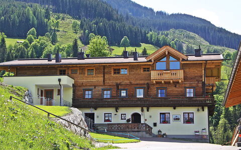 Kaprun 720: Himmel, Plante, Ejendom, Bygning, Bjerg, Vindue, Naturlige Landskab, Træ, Highland, Hus