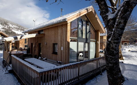 Feriebolig:&nbsp;Premium mit 5 Sz, Sauna oder Ir-Sauna 400.28