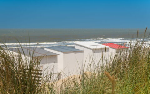 Bredene 460: Himmel, Vand, Plante, Land Lot, Coastal Og Oceaniske Landskabsformer, Horisont, Strand, Landskab, Almindeligt, Naturlige Landskab