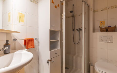 Bouquetins: Brusehoved, Ejendom, Sanitærarmatur, Badeværelse, Tap, Bruser, Purple, Brusestang, Hus