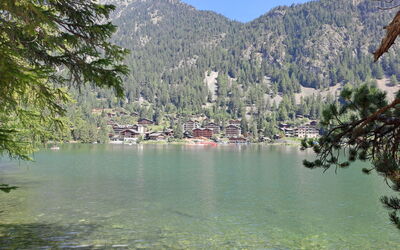 Champex 50