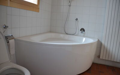 Ferienhaus Larix