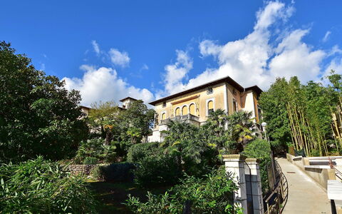 Opatija 134: Sky, Himmel, Bygning, Plante, Vindue, Vegetationen, Hus, Træ, Naturlige Landskab, Kvarter