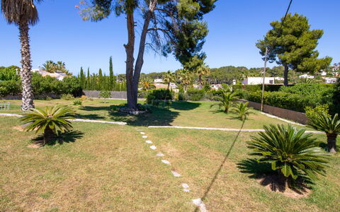 Cala Vista: Plante, Himmel, Ejendom, Plantesamfund, Træ, Naturlige Landskab, Vegetationen, Land Lot, Skygge, Arecales