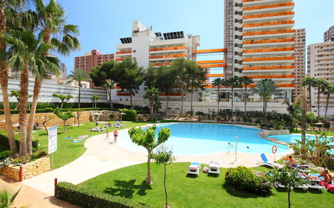 Benidorm 700: Plante, Bygning, Ejendom, Daytime, Vand, Himmel, Azure, Svømmepøl, Træ, Arkitektur