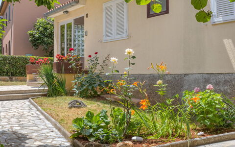 Poreč 117: Blomst, Plante, Ejendom, Vindue, Bygning, Blad, Vejbelægning, Arkitektur, Gul, Græs
