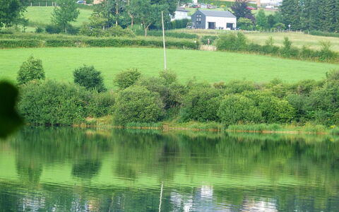 Butgenbach Nidrum 200: Vand, Plante, Vandressourcer, Grøn, Naturlige Landskab, Bygning, Træ, Land Lot, Vegetationen, Sø