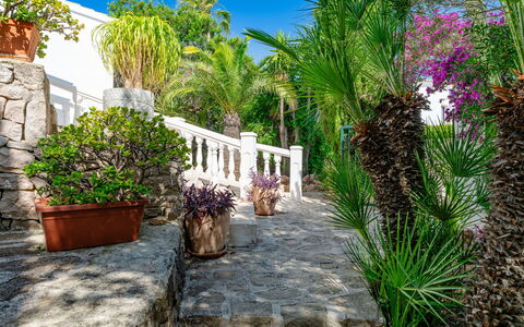 Karima: Busk, Have, Blomsterkrukke, Landscaping, Udvej, Stueplante, Skygge, Hacienda