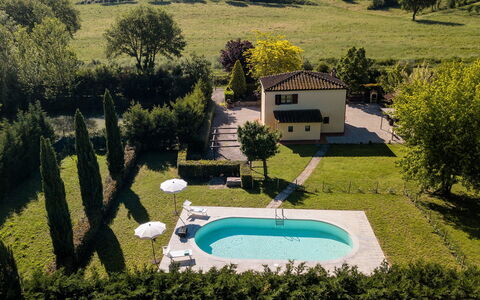 Villa La Fragola: Ejendom, Svømmepøl, Hus, Estate, Ejendom, Træ, Udvej, Hjem, Bygning, Mansion